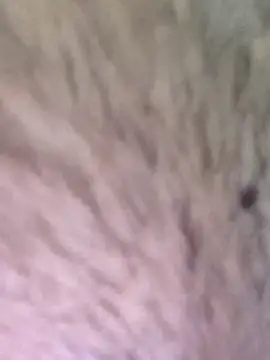 Snapshot of TOPMOON001 chatting on March 7, 2025, 6:24 am TOPMOON001 online show from March 7, 2025, 6:24 am