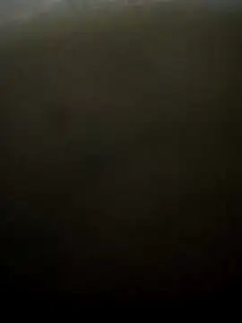puneribull online show from March 8, 2025, 8:46 pm