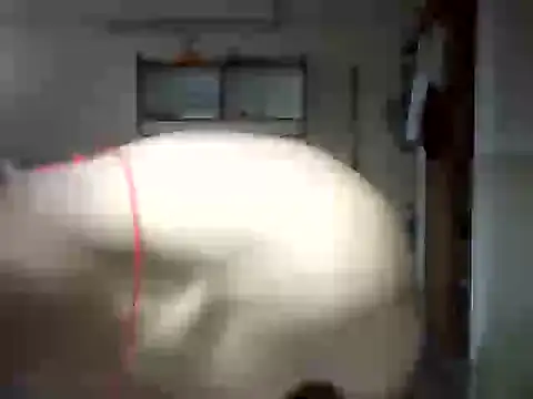 venom26 online show from September 14, 2025, 9:52 am