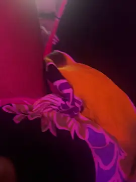 Lilymoonshow online show from March 17, 2025, 7:02 am