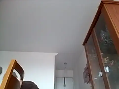 Munnoki online show from January 17, 2026, 9:36 am