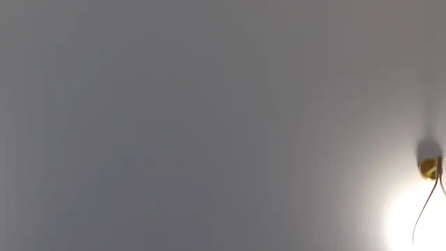 Lilliana Moon online show from January 30, 2025, 1:42 pm