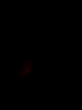 xxxxGuruxxxx online show from March 10, 2025, 6:38 am