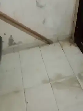 Jinenez online show from February 26, 2025, 8:37 am