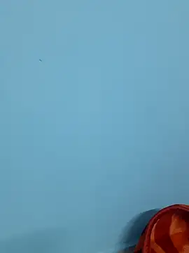 Snapshot of Divya-2007 chatting on February 7, 2025, 12:06 pm Divya-2007 online show from February 7, 2025, 12:06 pm