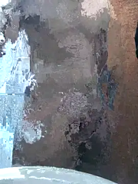 kreisbsb online show from April 25, 2026, 12:13 am