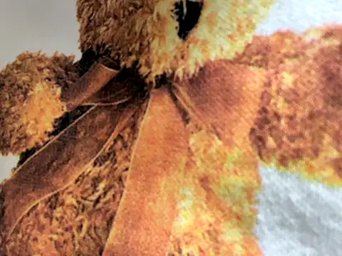 riri riri jp online show from December 19, 2025, 11:28 am