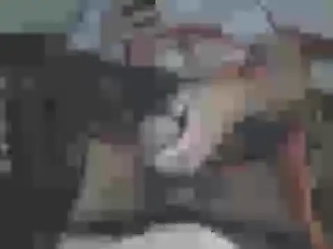 big-king233 online show from January 17, 2026, 7:13 am