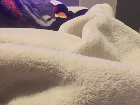 Pilote19 online show from January 6, 2026, 12:20 pm