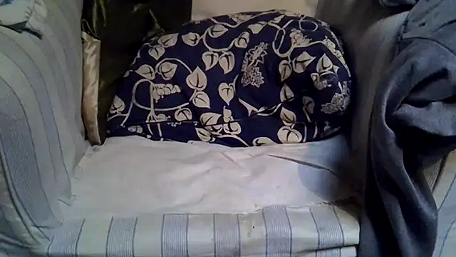 Damn bro23 online show from November 24, 2025, 8:14 am