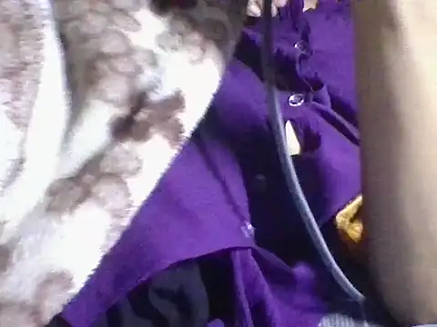 Snapshot of AKANSHA_7 chatting on November 1, 2025, 4:53 pm AKANSHA 7 online show from November 1, 2025, 4:53 pm