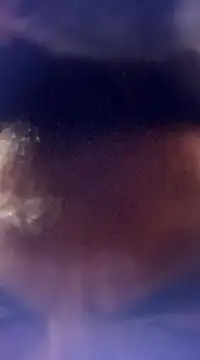 randit7 online show from January 24, 2025, 12:52 pm