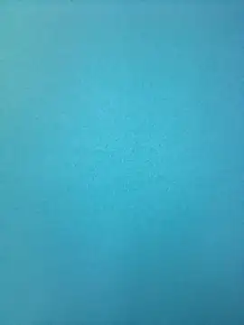 randit7 online show from February 26, 2025, 9:10 am