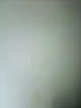 randit7 online show from February 28, 2025, 2:53 am