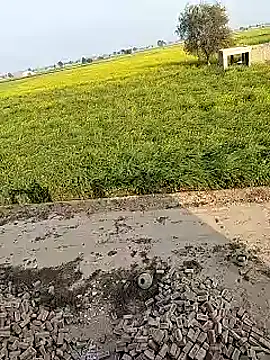 xmanrawan2 online show from February 2, 2025, 10:57 am