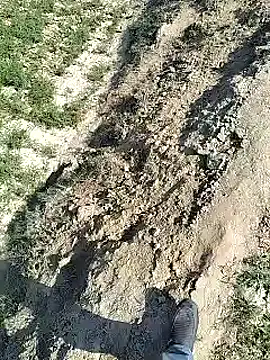 xmanrawan2 online show from February 4, 2025, 7:29 am