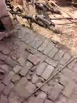 xmanrawan2 online show from February 17, 2026, 7:16 am