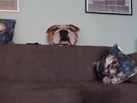 Snapshot of Astrid-Gilbert chatting on February 5, 2025, 11:12 am Astrid-Gilbert online show from February 5, 2025, 11:12 am