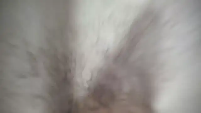 Ivyrose4999 online show from January 12, 2025, 5:11 pm