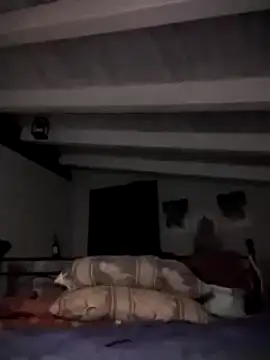 Snapshot of divinaerotica chatting on November 2, 2025, 5:48 pm divinaerotica online show from November 2, 2025, 5:48 pm