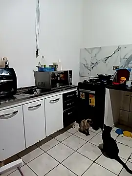 Pantaneirasexy online show from November 27, 2025, 4:31 pm