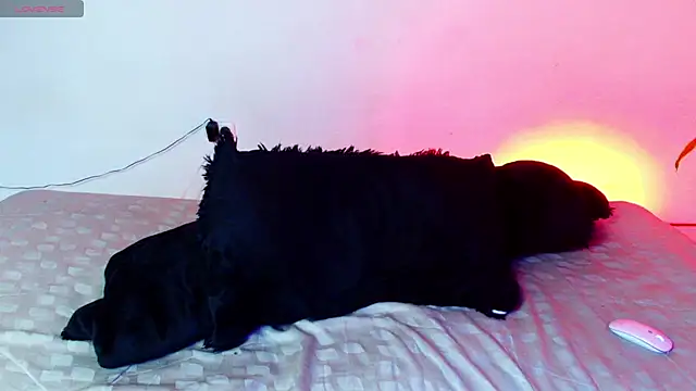 Snapshot of 7_Saturno_7 chatting on July 14, 2026, 2:05 am 7 Saturno 7 online show from July 14, 2026, 2:05 am