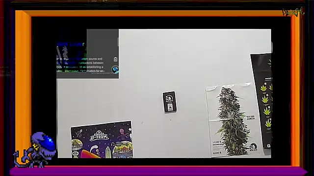 Snapshot of ReyDeBotones chatting on March 14, 2025, 9:00 pm ReyDeBotones online show from March 14, 2025, 9:00 pm