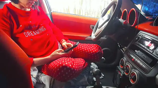 Fairy outdoor online show from March 2, 2025, 11:18 am