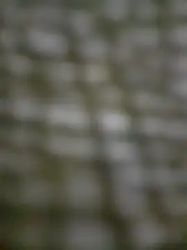 Snapshot of Mineirinho043 chatting on February 17, 2025, 4:48 pm Mineirinho043 online show from February 17, 2025, 4:48 pm