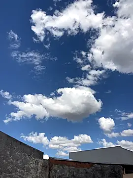 Mineirinho043 online show from November 26, 2025, 6:20 pm