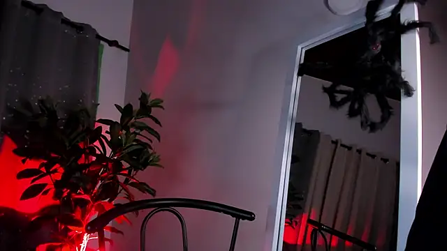 NovaaWheler online show from October 20, 2025, 7:36 pm