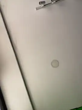 Snapshot of Dulce__Boyd chatting on February 14, 2026, 2:03 pm Dulce Boyd online show from February 14, 2026, 2:03 pm