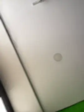 Snapshot of Dulce__Boyd chatting on February 17, 2026, 2:02 pm Dulce Boyd online show from February 17, 2026, 2:02 pm