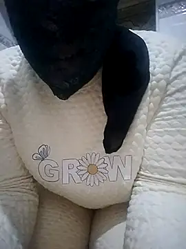 nouhaty online show from December 20, 2025, 6:20 am