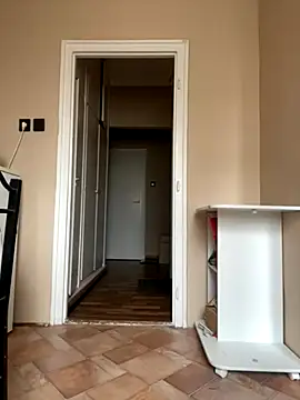 Budibudi5 online show from November 27, 2025, 9:11 am