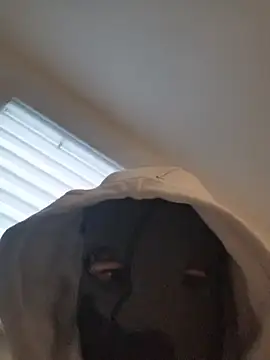 Bigdick420anal online show from February 4, 2026, 6:41 am