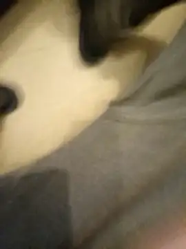 flo000031 online show from January 14, 2026, 3:28 pm