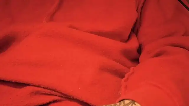 strongdude212 online show from April 17, 2026, 9:56 am