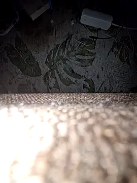 Snapshot of DerechteJunge chatting on December 13, 2025, 11:43 pm DerechteJunge online show from December 13, 2025, 11:43 pm