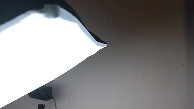 Snapshot of Sandra_Snowflake chatting on November 24, 2025, 3:50 am Sandra Snowflake online show from November 24, 2025, 3:50 am