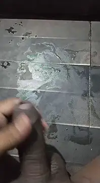 desi pb02 online show from March 20, 2025, 9:04 am