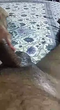 desi pb02 online show from September 11, 2025, 2:28 pm