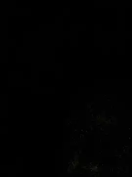Snapshot of salchichon_69 chatting on August 6, 2026, 8:38 am salchichon 69 online show from August 6, 2026, 8:38 am