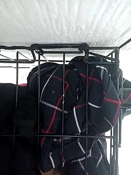 Snapshot of emily_envivo010 chatting on March 10, 2025, 8:01 pm emily envivo010 online show from March 10, 2025, 8:01 pm