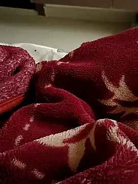 RealcoupleP online show from November 25, 2025, 12:05 pm