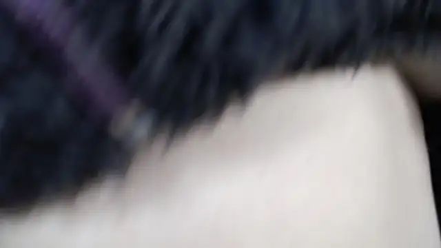 amy royale online show from March 18, 2025, 5:31 am