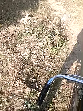 Snapshot of bairobunde chatting on February 7, 2026, 4:16 am bairobunde online show from February 7, 2026, 4:16 am