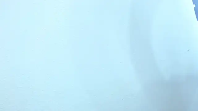 sebastian colle online show from February 26, 2025, 12:03 pm