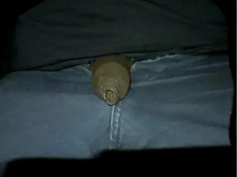 Snapshot of Mthondo-qinile chatting on November 18, 2025, 9:30 pm Mthondo-qinile online show from November 18, 2025, 9:30 pm