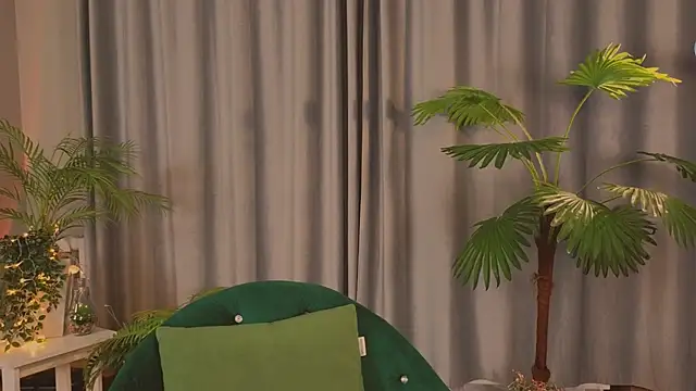 Pancake Reciper online show from February 10, 2026, 12:31 pm